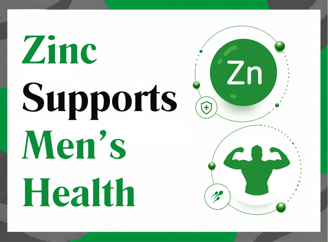 Zinc and Testosterone: What it Supports in Men's Health