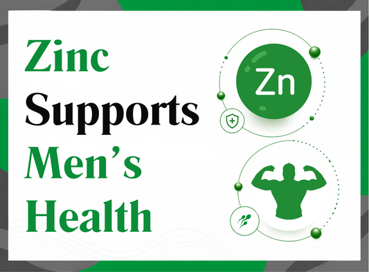 Zinc and Testosterone: What it Supports in Men's Health