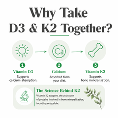 Vitamin D3 & K2 (MK-7) Capsules